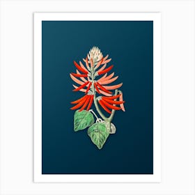 Vintage Naked Flowering Erythrina Botanical Art on Teal Blue Art Print