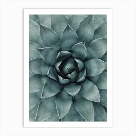 Hypnotic Agave Plant Art Print