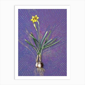 Vintage Narcissus Gouani Botanical Illustration on Veri Peri n.0636 Art Print