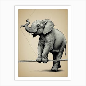 Elephant On A Tightrope Art Print