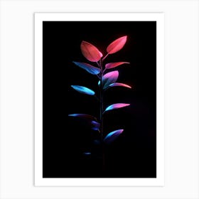 Flower On A Black Background Art Print