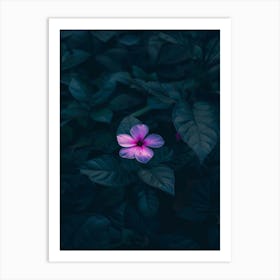 Purple Flower In The Dark Art Print