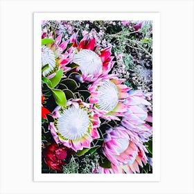 Proteas Art Print