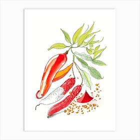 Cayenne Pepper Spices And Herbs Pencil Illustration 2 Art Print