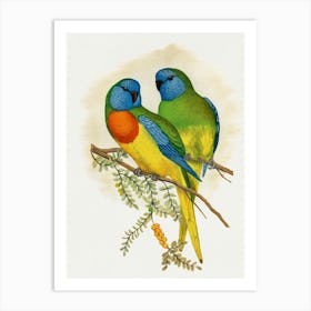 Pair Of Parrots 1 Art Print