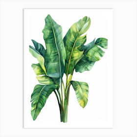 Banana Leaf 14 Art Print