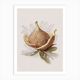 Fig painting 1 Art Print