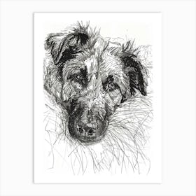 Anatolian Shepherd Dog Line Sketch 1 Art Print