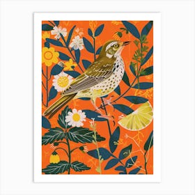 Spring Birds Mockingbird 2 Art Print