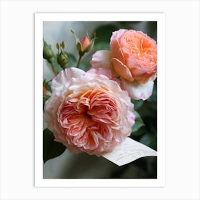 English Roses Painting Romantic 3 Art Print
