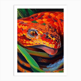 Red Tailed Boa Snake Painting Art Print