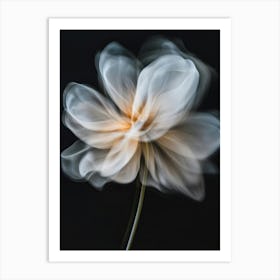 White Flower 2 Art Print