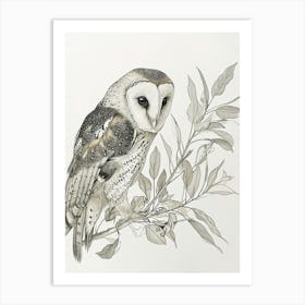 Australian Masked Owl Drawing 2 Art Print