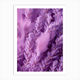 Lavender Flowers 5 Art Print