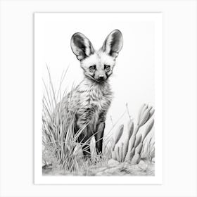 Bat Eared Fox Realism Drawing 2 Art Print