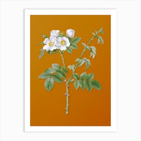 Vintage White Flowered Rose Botanical on Sunset Orange n.0684 Art Print