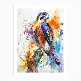 Falcon Colourful Watercolour 2 Art Print