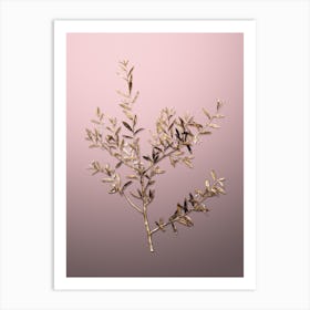 Gold Botanical Myrtle Dahoon Branch on Rose Quartz n.0919 Art Print