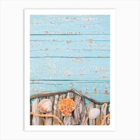 Sea Shells And Driftwood Art Print