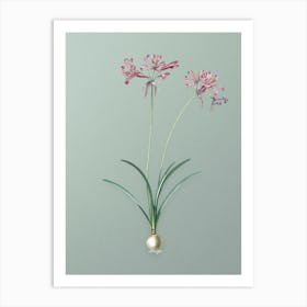 Vintage Nerine Botanical Art on Mint Green n.0004 Art Print