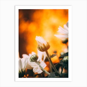 Poster Flower Art Print 18 Art Print