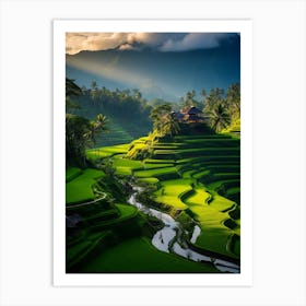 Rice Terraces In Bali Art Print
