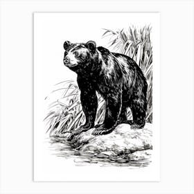 Malayan Sun Bear Standing On A Riverbank Ink Illustration 1 Art Print