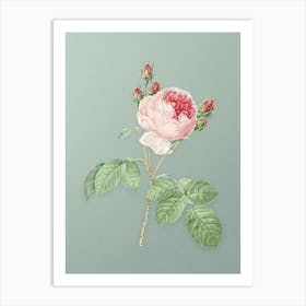 Vintage Pink Cabbage Rose Botanical Art on Mint Green n.0821 Art Print