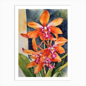 Epidendrum Orchids Water Colour 2 Art Print