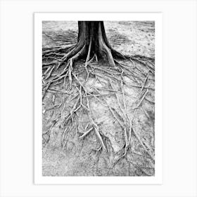 Tree Roots In Indonesia Art Print