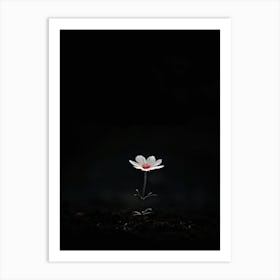 Single Flower In The Dark 52 Art Print