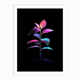 Rainbow Plant On Black Background 2 Art Print