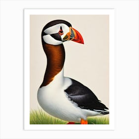 Puffin James Audubon Vintage Style Bird Art Print