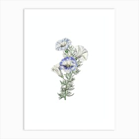 Vintage Sky Blue Alona Flower Botanical Illustration on Pure White Art Print