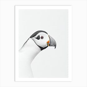 Puffin B&W Pencil Drawing 3 Bird Art Print