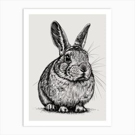 Chinchilla Blockprint Rabbit Illustration 2 Art Print