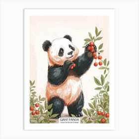 Giant Panda Picking Berries Poster 10 Art Print