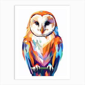 Colourful Geometric Bird Barn Owl 2 Art Print