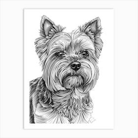 Yorkshire Terrier Dog Line Sketch 3 Art Print