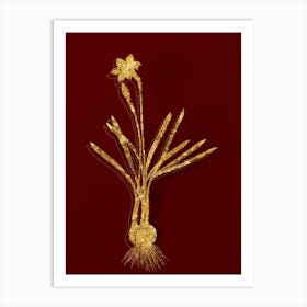 Vintage Narcissus Gouani Botanical in Gold on Red Art Print