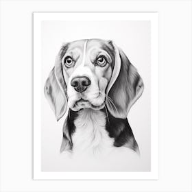 Beagle Dog, Line Drawing 1 Art Print