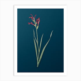 Vintage Gladiolus Cunonius Botanical Art on Teal Blue n.0019 Art Print