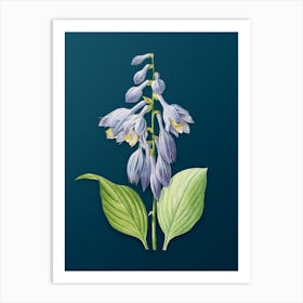 Vintage Blue Daylily Botanical Art on Teal Blue n.0462 Art Print
