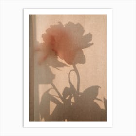 Abstract Flower Shadow 2 Art Print