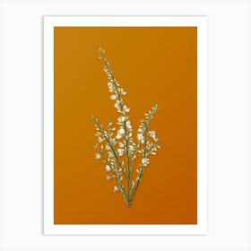 Vintage White Broom Botanical on Sunset Orange n.0226 Art Print