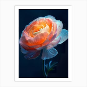 Peony 3 Art Print