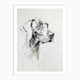 Weimaraner Dog Charcoal Line 4 Art Print