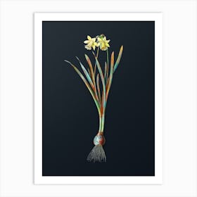 Vintage Lesser Wild Daffodil Botanical Watercolor Illustration on Dark Teal Blue n.0139 Art Print
