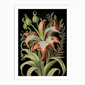 Inca Lily 1 Floral Botanical Vintage Poster Flower Art Print