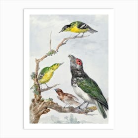 Vintage Bird Art Print_2835779 Art Print